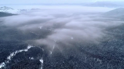 Stock Video Aerial Shot Of A Wooded Area Under The Clouds Live Wallpaper for PC - Free Live Wallpaper