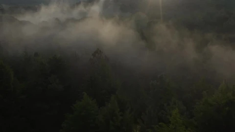 Stock Video Aerial Tour Above A Cloud Forest Live Wallpaper for PC - Free Live Wallpaper