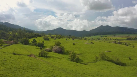 Stock Video Aerial Tour Of A Large Meadow Covered With Vegetation  Larg Live Wallpaper for PC - Free Live Wallpaper