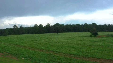 Stock Video Aerial Tour Of A Meadow In A Large Forest  Larg Live Wallpaper for PC - Free Live Wallpaper