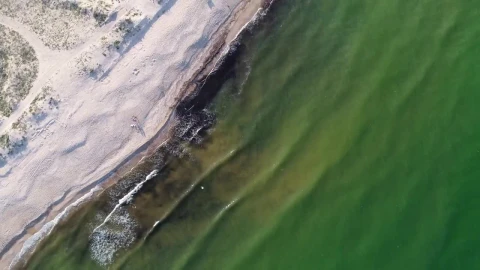 Stock Video Aerial Tour Of The Beach On The Seashore Live Wallpaper for PC - Free Live Wallpaper