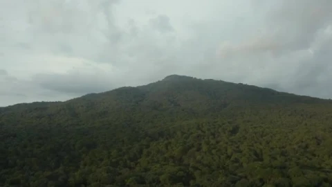 Stock Video Aerial Tour Through A Large Forest That Covers A Mountain Live Wallpaper for PC - Free Live Wallpaper