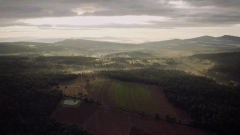 Stock Video Aerial View At Dawn Of A Crop Field And Forest Live Wallpaper for PC - Free Live Wallpaper
