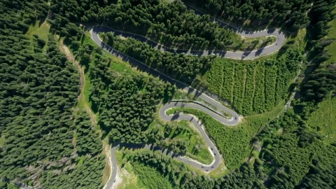 Stock Video Aerial View Of A Curvy Road Through The Forest Live Wallpaper for PC - Free Live Wallpaper