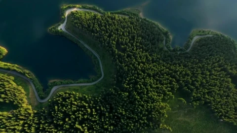 Stock Video Aerial View Of A Forest A Lake And The Road Live Wallpaper for PC - Free Live Wallpaper