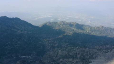 Stock Video Aerial View Of A Forest Covered By Shadow Live Wallpaper for PC - Free Live Wallpaper