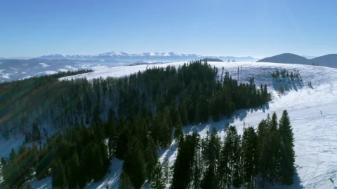 Stock Video Aerial View Of A Frozen Forest In The Mountains Live Wallpaper for PC - Free Live Wallpaper