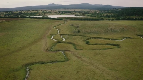 Stock Video Aerial View Of A Green Field With Rivers Live Wallpaper for PC - Free Live Wallpaper