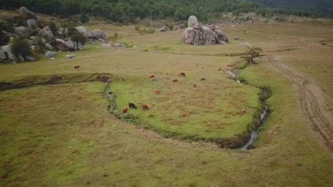 Stock Video Aerial View Of A Green Field With Giant Rocks Live Wallpaper for PC - Free Live Wallpaper