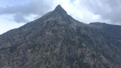 Stock Video Aerial View Of A Mountainous Forest Live Wallpaper for PC - Free Live Wallpaper