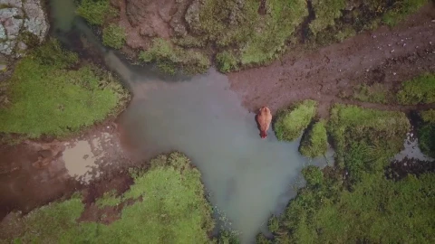 Stock Video Aerial View Of A Muddy Road With A Puddle And Live Wallpaper for PC - Free Live Wallpaper