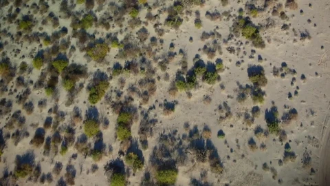 Stock Video Aerial View Of A Sandy Terrain Live Wallpaper for PC - Free Live Wallpaper