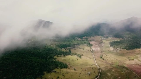 Stock Video Aerial View Of A Wooded Landscape With A Road Live Wallpaper for PC - Free Live Wallpaper