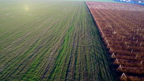 Stock Video Aerial View Of Agricultural Fields Live Wallpaper for PC - Free Live Wallpaper
