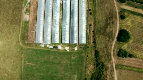 Stock Video Aerial View Of Agricultural Growth Center In Countryside Live Wallpaper for PC - Free Live Wallpaper