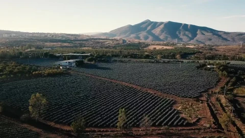 Stock Video Aerial View Of An Agriculture Field At The Morning Live Wallpaper for PC - Free Live Wallpaper