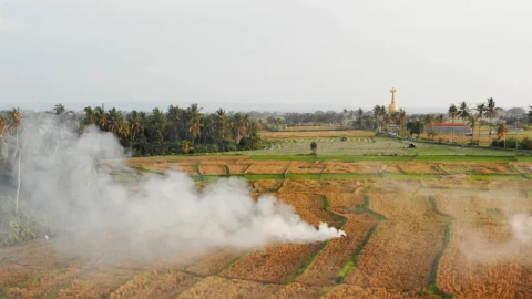 Stock Video Aerial View Of Balinese Temple In Indonesia Live Wallpaper for PC - Free Live Wallpaper