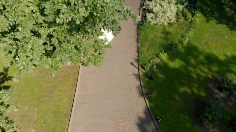 Stock Video Aerial View Of Bride And Groom Leaving Wedding Live Wallpaper for PC - Free Live Wallpaper