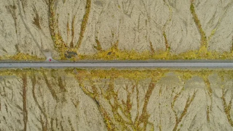 Stock Video Aerial View Of Cars Driving Through A Desert Road Live Wallpaper for PC - Free Live Wallpaper