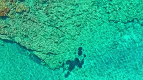 Stock Video Aerial View Of Crystal Clear Rocky Sea Shore Live Wallpaper for PC - Free Live Wallpaper