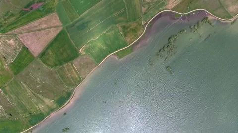 Stock Video Aerial View Of Green Crop Fields By The Lake Live Wallpaper for PC - Free Live Wallpaper