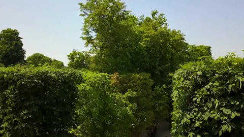 Stock Video Aerial View Of Paris From A Large Garden  Larg Live Wallpaper for PC - Free Live Wallpaper