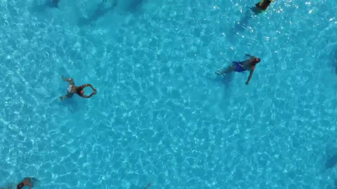 Stock Video Aerial View Of People Enjoying The Swimming Pool Live Wallpaper for PC - Free Live Wallpaper
