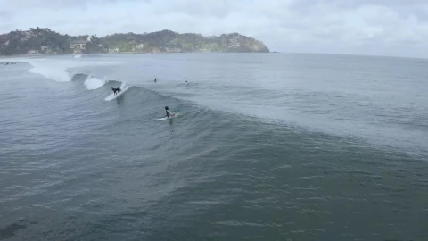 Stock Video Aerial View Of People Surfing Live Wallpaper for PC - Free Live Wallpaper