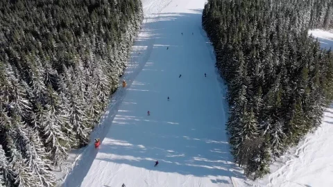 Stock Video Aerial View Of Skiers Going Down The Mountain Live Wallpaper for PC - Free Live Wallpaper