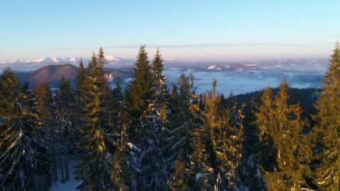 Stock Video Aerial View Of Snowy Mountains Downhill Live Wallpaper for PC - Free Live Wallpaper