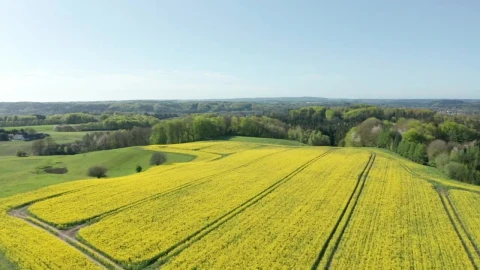Stock Video Aerial View Of The Countryside Live Wallpaper for PC - Free Live Wallpaper