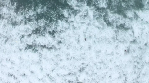 Stock Video Aerial View Of The Sea And People Surfing Live Wallpaper for PC - Free Live Wallpaper