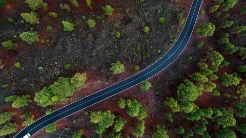 Stock Video Aerial View Of Traffic In A Road Through The Woods Live Wallpaper for PC - Free Live Wallpaper