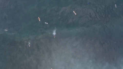 Stock Video Aerial View Of Waves And Surfers Live Wallpaper for PC - Free Live Wallpaper