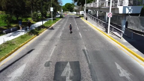 Stock Video Aerial Walk Along A Path In A Sunny Park Live Wallpaper for PC - Free Live Wallpaper