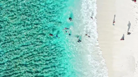 Stock Video Beach Front With Children Playing Live Wallpaper For PC - Free Live Wallpaper