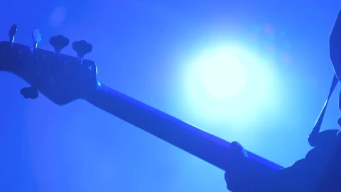 Stock Video Bass Guitar Player Performing On Stage Live Wallpaper For PC - Free Live Wallpaper
