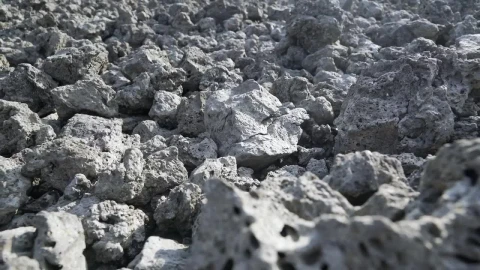 Stock Video Basalt Rocks In The Ground Live Wallpaper For PC - Free Live Wallpaper