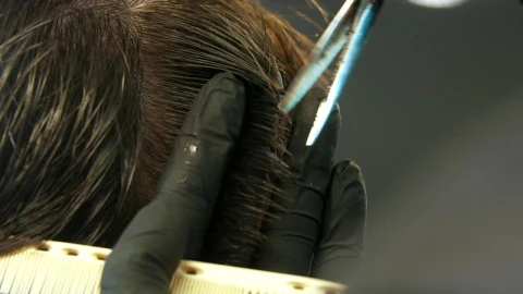 Stock Video Barber Cutting Clients Wet Hair With Scissors Live Wallpaper For PC - Free Live Wallpaper