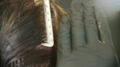 Stock Video Barber Brushing Clients Hair Live Wallpaper For PC - Free Live Wallpaper