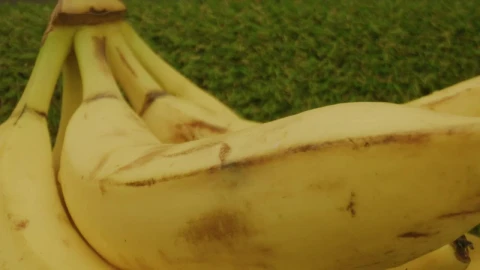 Stock Video Banana Bunch Rotating Slowly Live Wallpaper For PC - Free Live Wallpaper