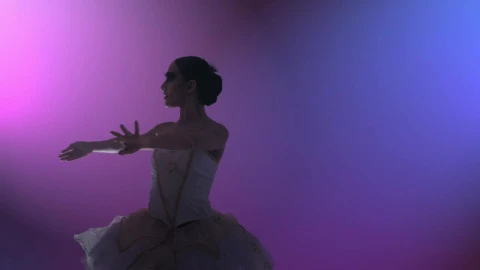 Stock Video Ballet Dancer Doing Artistic Movements Live Wallpaper For PC - Free Live Wallpaper