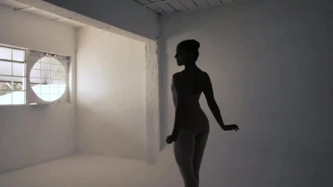 Stock Video Ballerina In Silhouette Turning Live Wallpaper For PC - Free Live Wallpaper