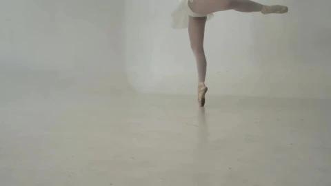 Stock Video Ballerina Dancing Live Wallpaper For PC - Free Live Wallpaper