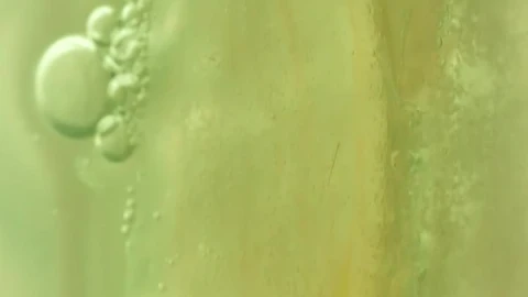Stock Video Bacterial Strain Under The Microscope Live Wallpaper For PC - Free Live Wallpaper