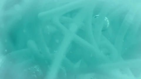 Stock Video Bacteria In Liquid Live Wallpaper For PC - Free Live Wallpaper