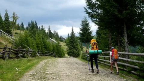 Stock Video Backpackers Walking Through A Rural Road Live Wallpaper For PC - Free Live Wallpaper