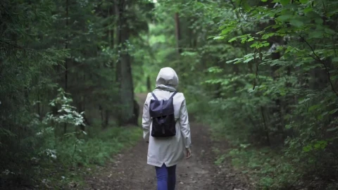 Stock Video Backpacker Walking On The Forest Live Wallpaper For PC - Free Live Wallpaper