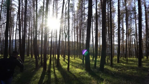 Stock Video Backpacker Walking Through The Woods Live Wallpaper For PC - Free Live Wallpaper