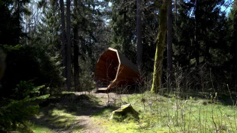 Stock Video Backpacker Walking In The Forest Live Wallpaper For PC - Free Live Wallpaper